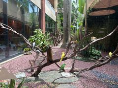 -麒麟中餐厅·经典粤菜·地道菜式老字号(广州长隆酒店)