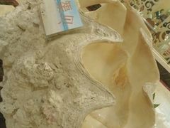 -琼菜王(南海店)