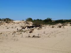 -银沙湾旅游区-好汉坡停车场