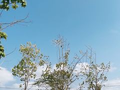 -莺歌海盐场