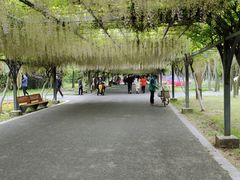 -东平国家森林公园