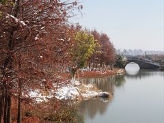 -三垟湿地