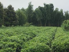 -百翠山居.家飨餐厅