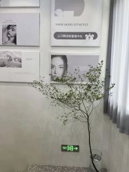 -三只熊皮肤管理中心旗舰店