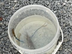 -DGE季风钓虾营地·团建·聚会
