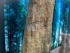 -延庆地质公园博物馆