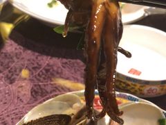 红烧望潮-宁波状元楼酒店(和义路店)