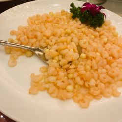 -新城花园酒店·宴会厅