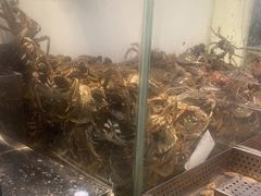 -金滏山烤肉·海鲜·火锅自助餐厅(襄阳万达店)