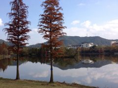 -浙江农林大学(东湖校区)