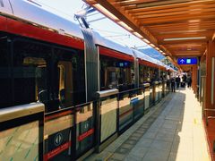 -国家植物园(地铁站)