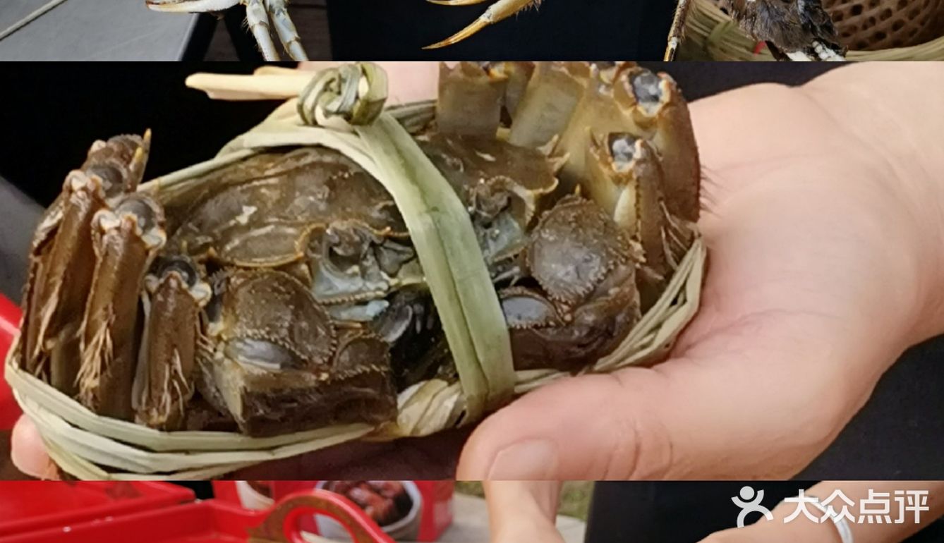 雅高心悦界x周雪龙|阳澄湖好蟹金秋赶蟹季