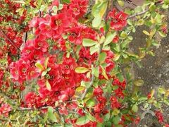 iphone_upload_pic-迎泽公园