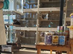 -熊小胖宠物生活馆(天华园店)