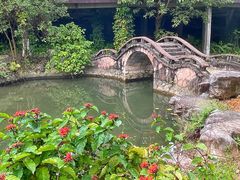 -广西壮族自治区药用植物园