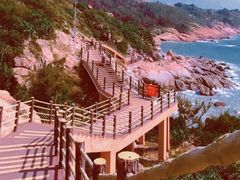 -广东惠东海龟国家级自然保护区