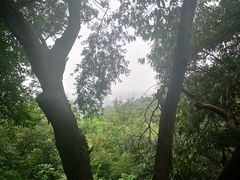 -雨花胜境