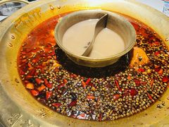 -哥老官重庆美蛙鱼头(日月光店)