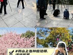 -南山植物园