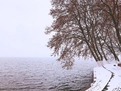 -东湖落雁景区