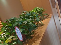 -阿源鱼捞斑鱼火锅·海鲜粥(山景尚宅店)