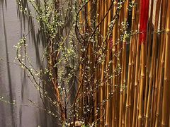 -泰菩提树下·泰式按摩SPA(沙坡尾店)