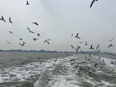 -海驴岛(荣成市)
