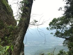 -七仙岭温泉国家森林公园