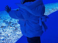 -哈尔滨波塞冬海底世界