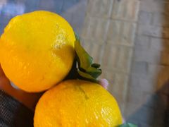 -北大地皖峰饭馆