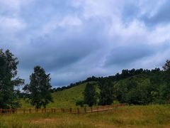 -御道口草原森林风景区