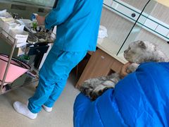 -爱派特动物医院·全科诊疗中心