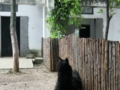 -合肥野生动物园