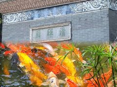 -顺峰山公园