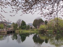 -贵阳市花溪国家城市湿地公园