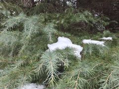 -洛阳市隋唐城遗址植物园