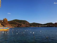-泸沽湖里格半岛