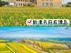 -三圣花乡旅游区