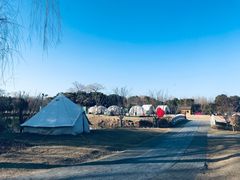 -梁鸿国家湿地公园