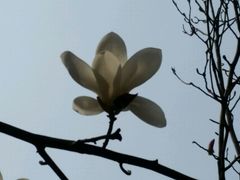 -麦当劳(中山路店)