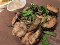 金不换煎焗白鳝-博多新记·粤菜(复兴店)