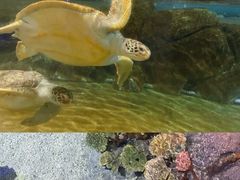 -福州罗源湾海洋世界旅游区