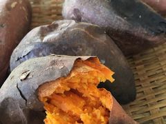 -大本营竹筒饭