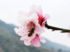 -青林口古镇
