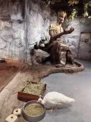 -Zoolung Zoolung动物主题公园(海信广场店)