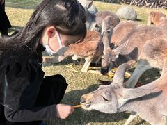 -泉州海丝野生动物世界