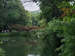 -岳麓山风景名胜区