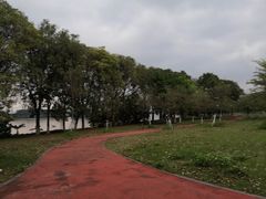 -广东科学中心