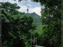 -梧桐山风景名胜区