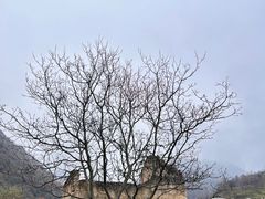 -狮子沟牧场